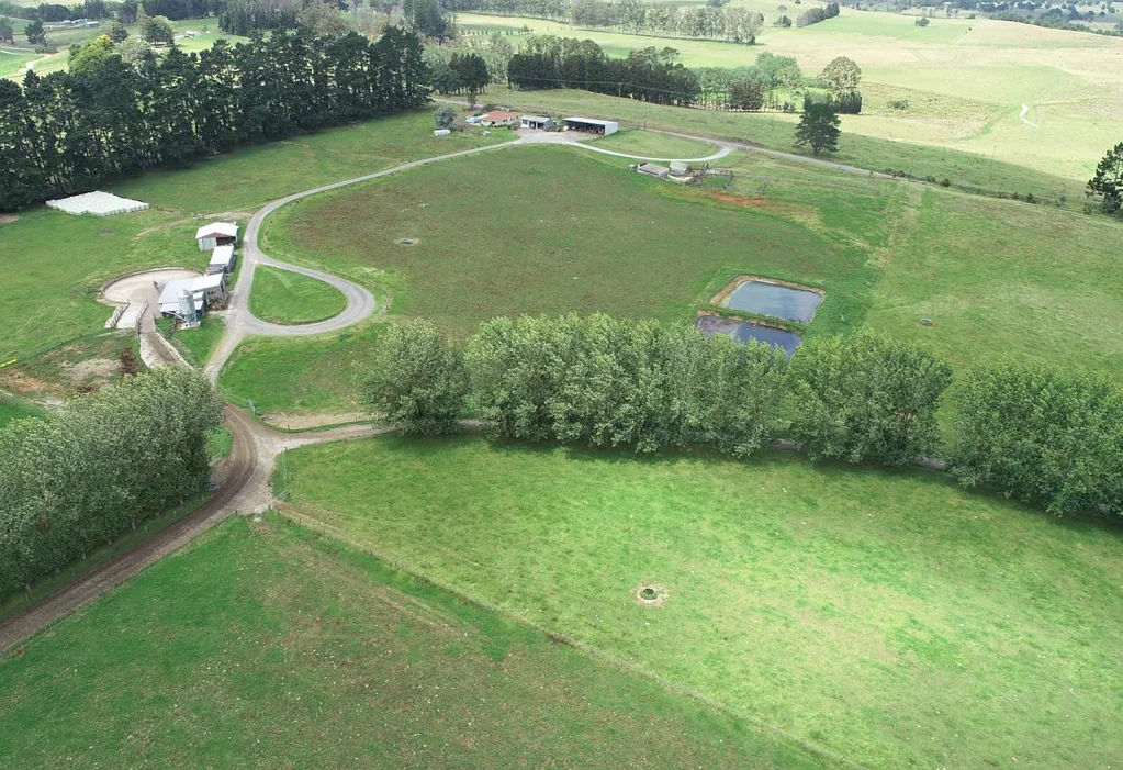 Kaikohe West Farm with Lucrative Potential