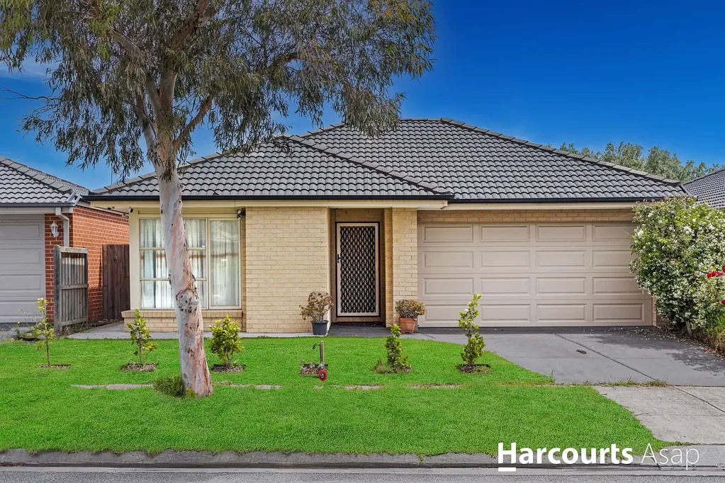 16 Braestar Street, Cranbourne, VIC 3977