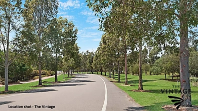  The Cedars, Pokolbin, NSW 2320, 0 Bedrooms, 0 Bathrooms, Section