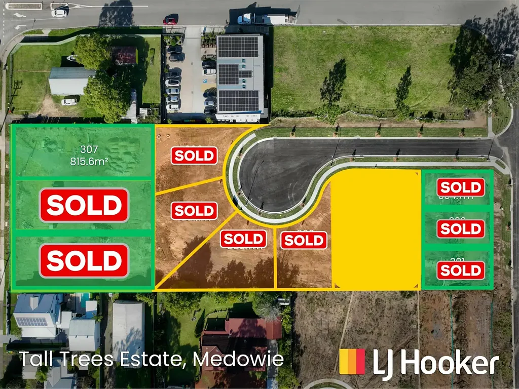 Lot 307 Lot 124/799 Medowie Road, Medowie, NSW 2318