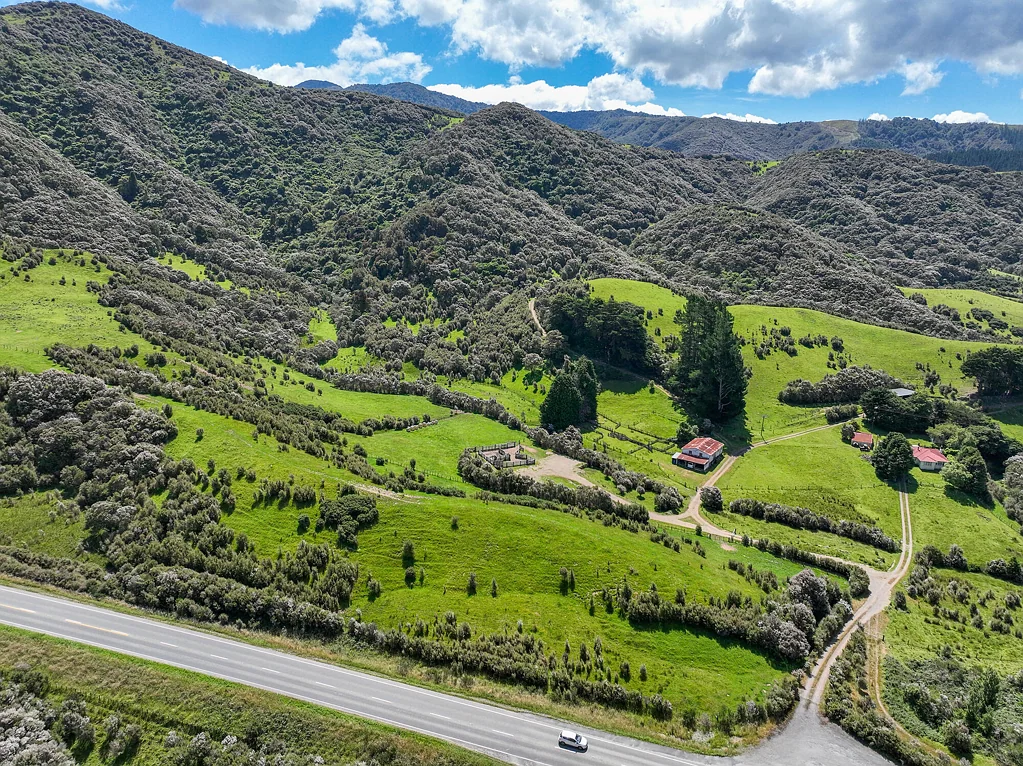 Kiriwhakapapa Mt Tāwera – A Wealth of Opportunity!