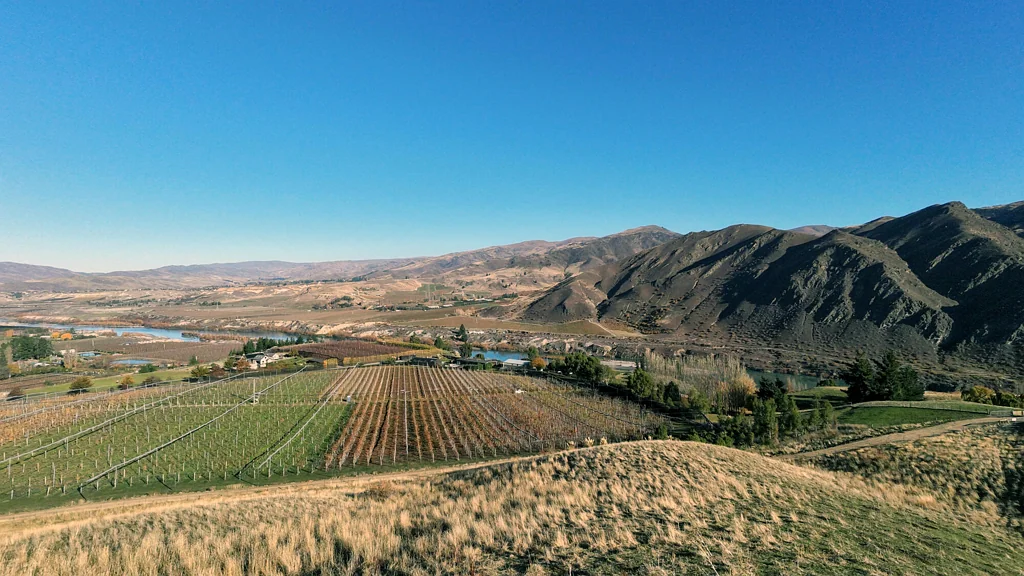 Cromwell  Views Across Orchards & Hills