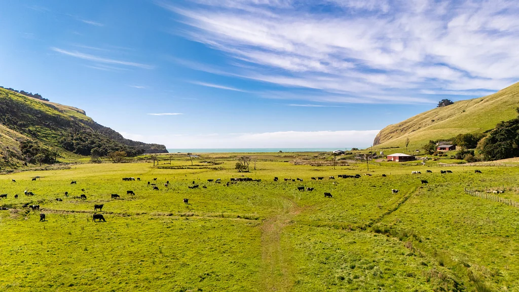 Akaroa Scale, scenery and stewardship