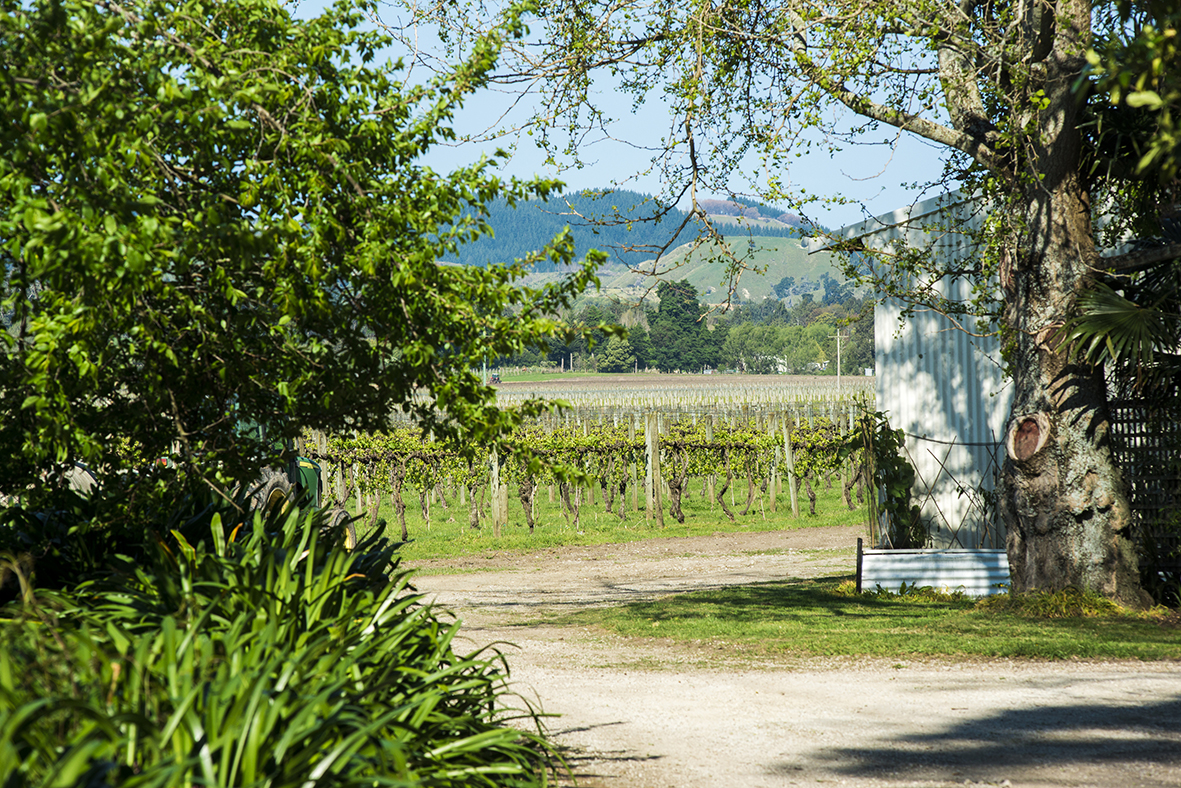 30 Kawatiri Road, Makauri, Gisborne, 0 રૂમ, 0 બાથરૂમ