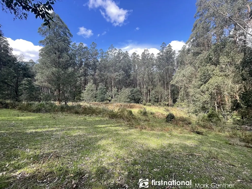 Toolangi Peaceful 19 Acres (approx.) backing on to Yea River