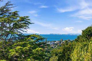 355 East Coast Road, Mairangi Bay, North Shore City