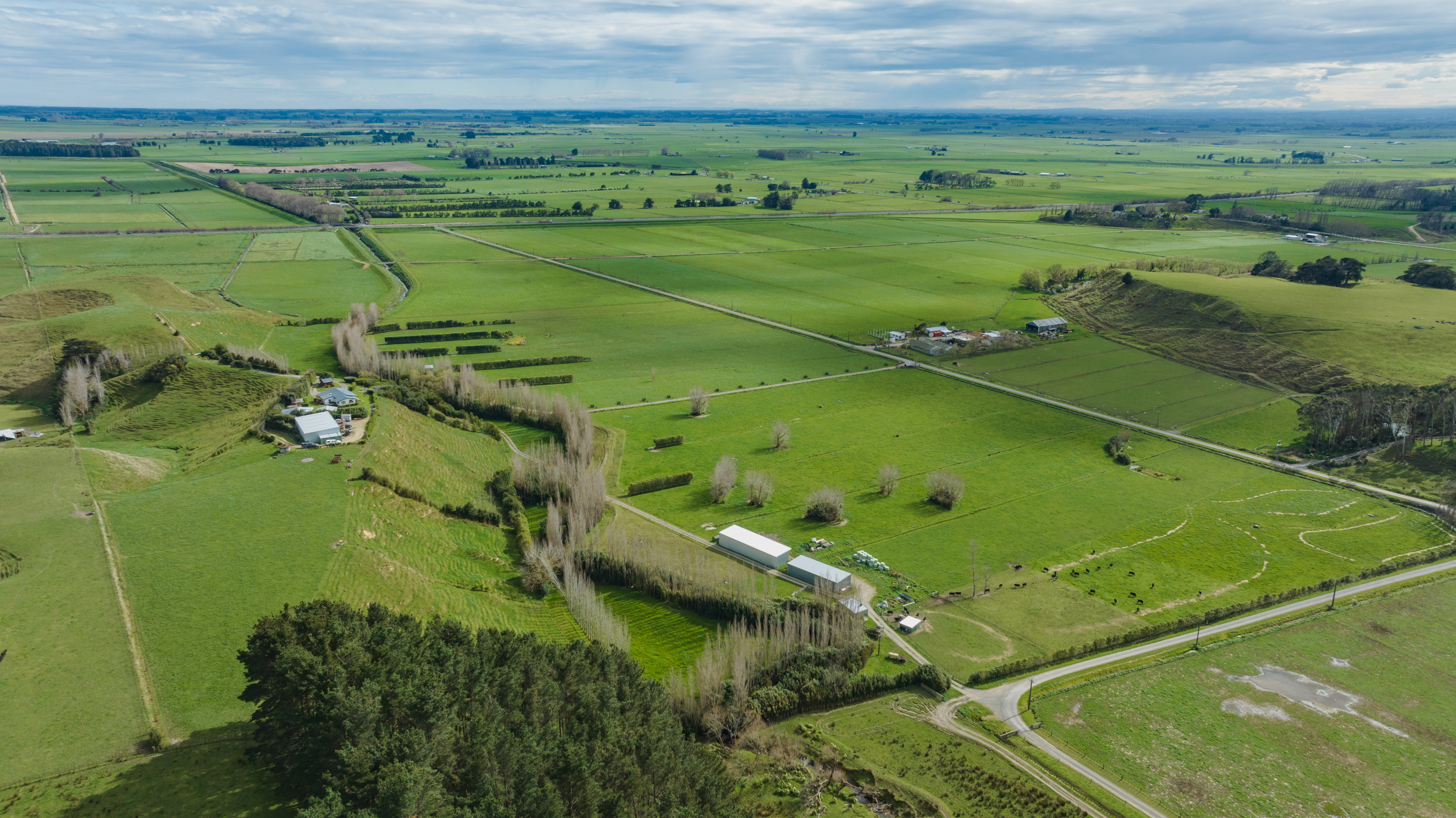 82 Kara Road, Shannon, Horowhenua, 3 ห้องนอน, 0 ห้องน้ำ, Grazing