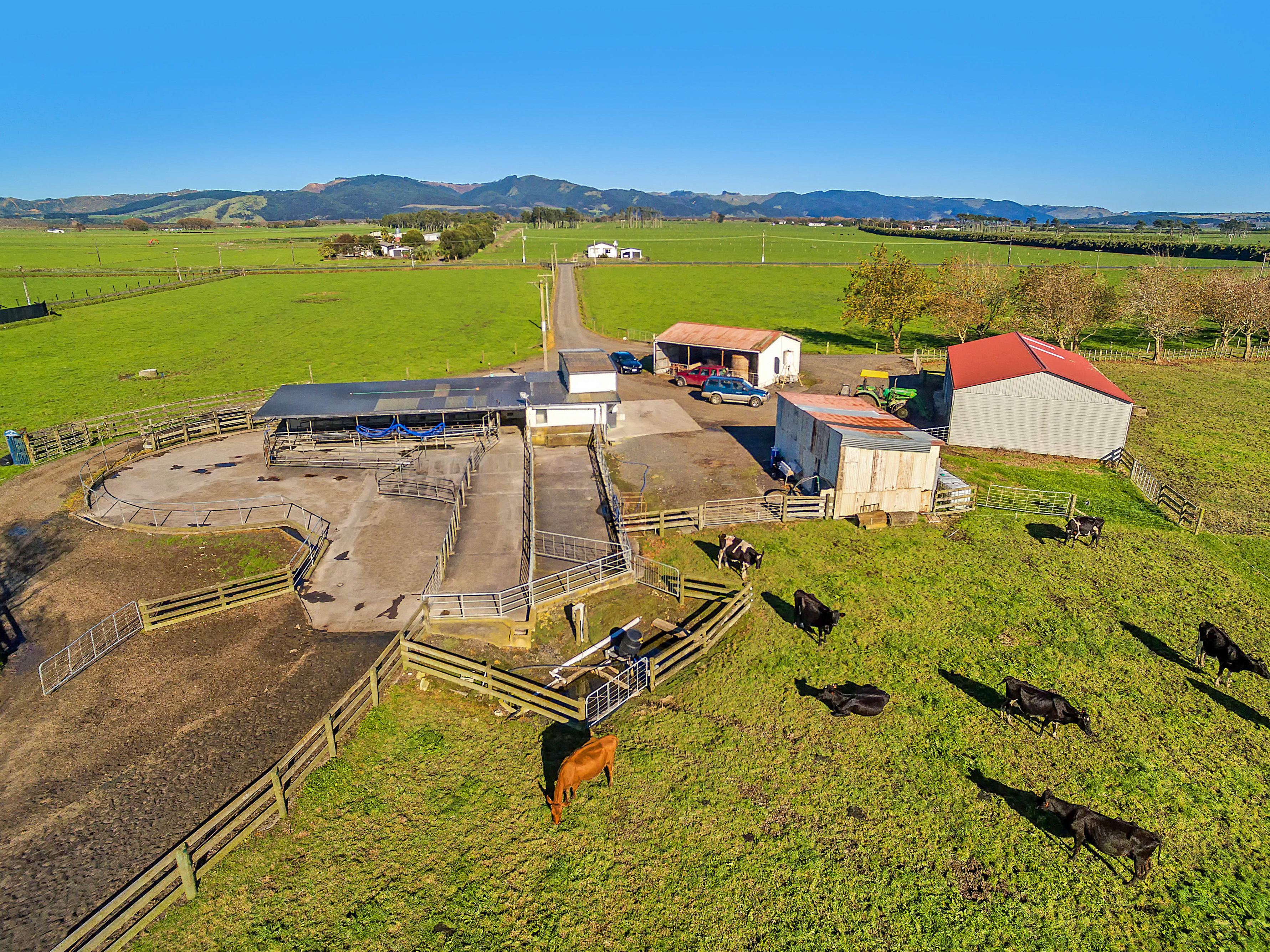 356 Waiuku-Otaua Road, Waiuku, Auckland - Franklin, 0 rūma, 0 rūma horoi