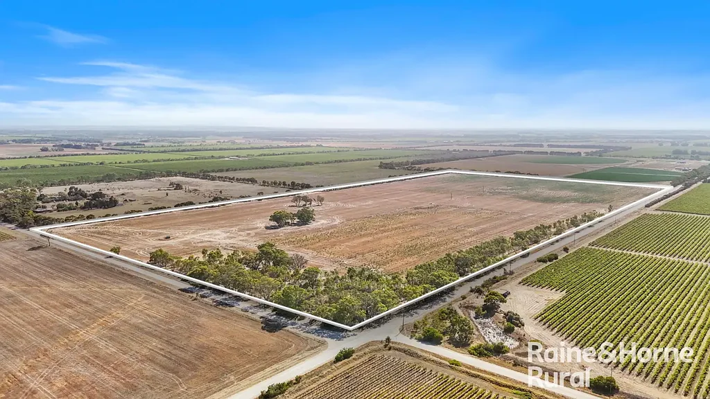 A107 Ballandown Road, Langhorne Creek, SA 5255