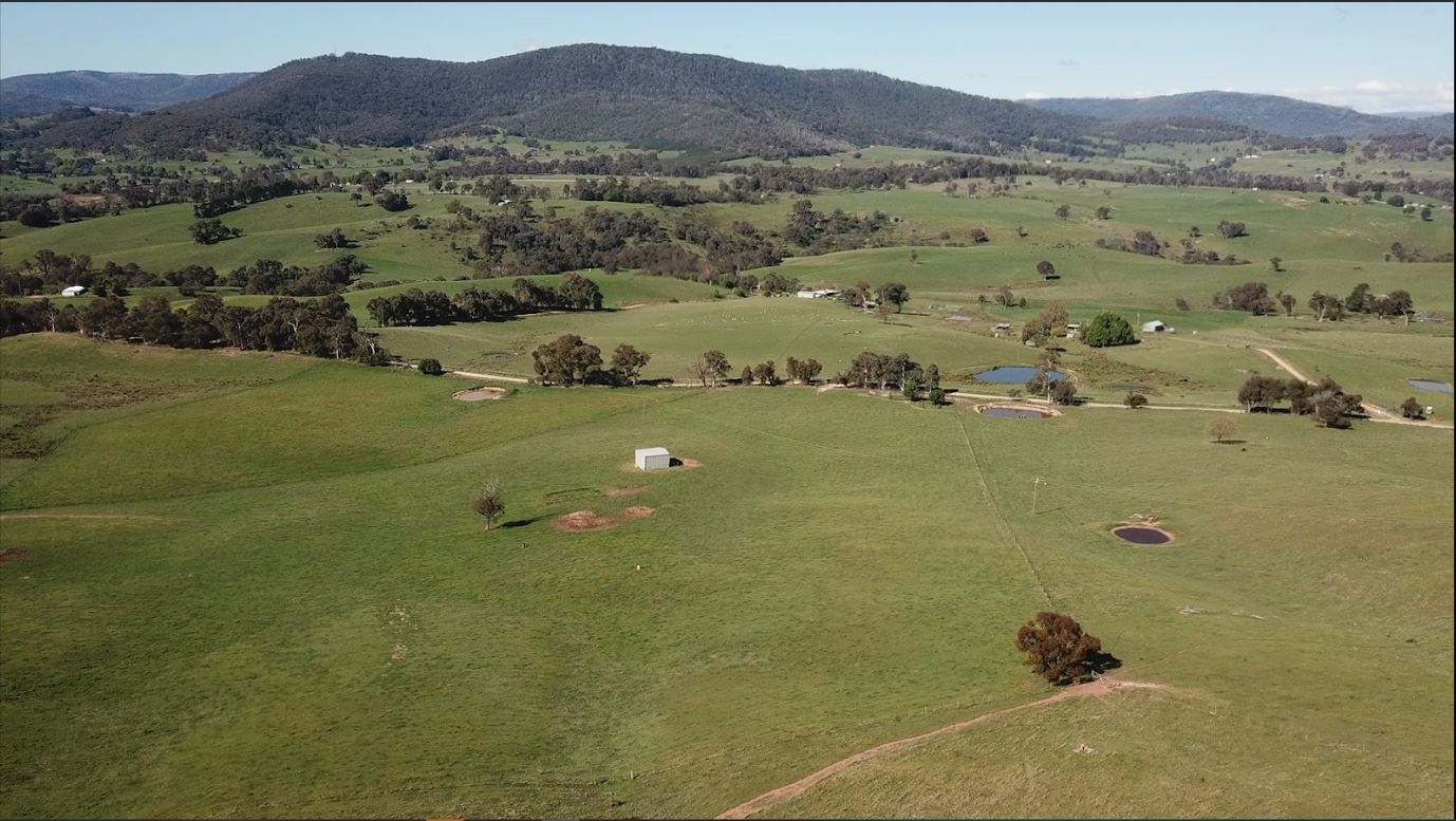 53 MCCLELLANDS LANE, TUMBARUMBA NSW 2653, 0房, 0浴, Lifestyle Property