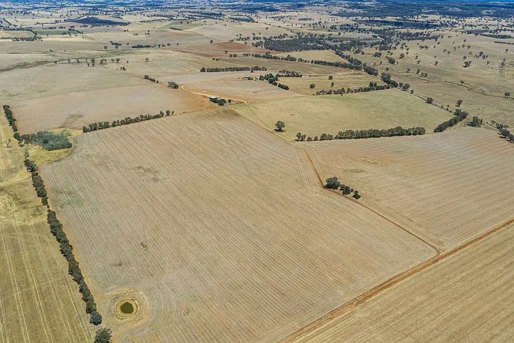3818 Lachlan Valley Way, Godfreys Creek, NSW 2586
