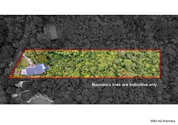 الأكثر شهرة