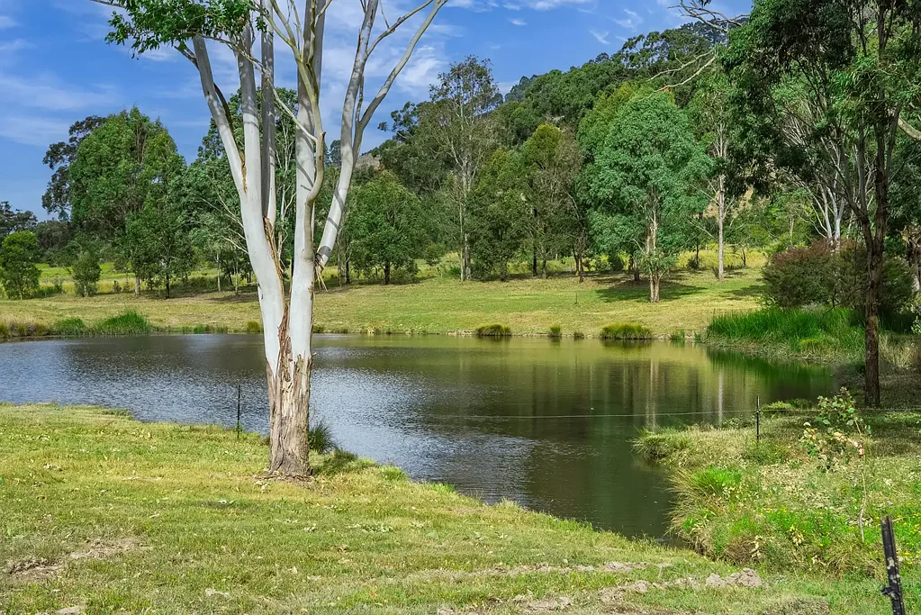 27C Park Street, East Gresford, NSW 2311