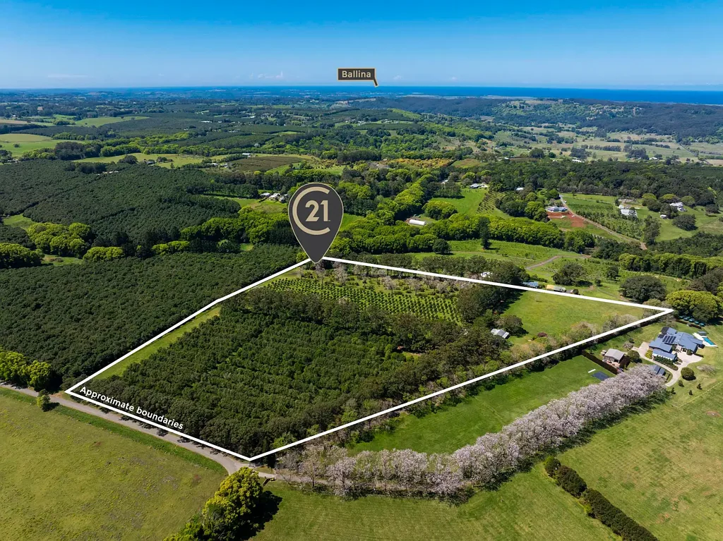 Dalwood Contact Noel Today
