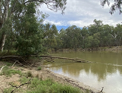 LOT 9 North Barham Road, Barham, Murray, 0 Schlafzimmer, 0 Badezimmer, Lifestyle Property