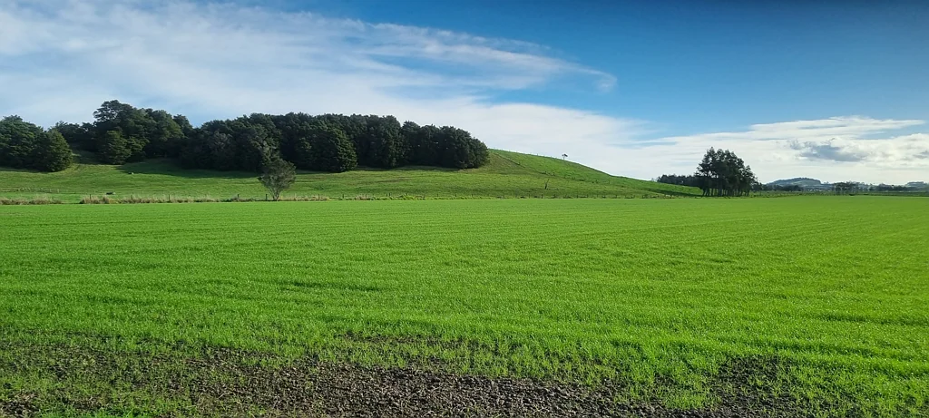 Dargaville 60ha with Home on Town Boundary