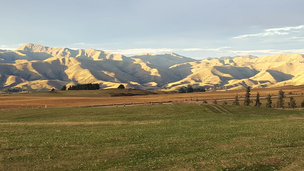 Palmerston Blend of productivity and lifestyle on 321 ha