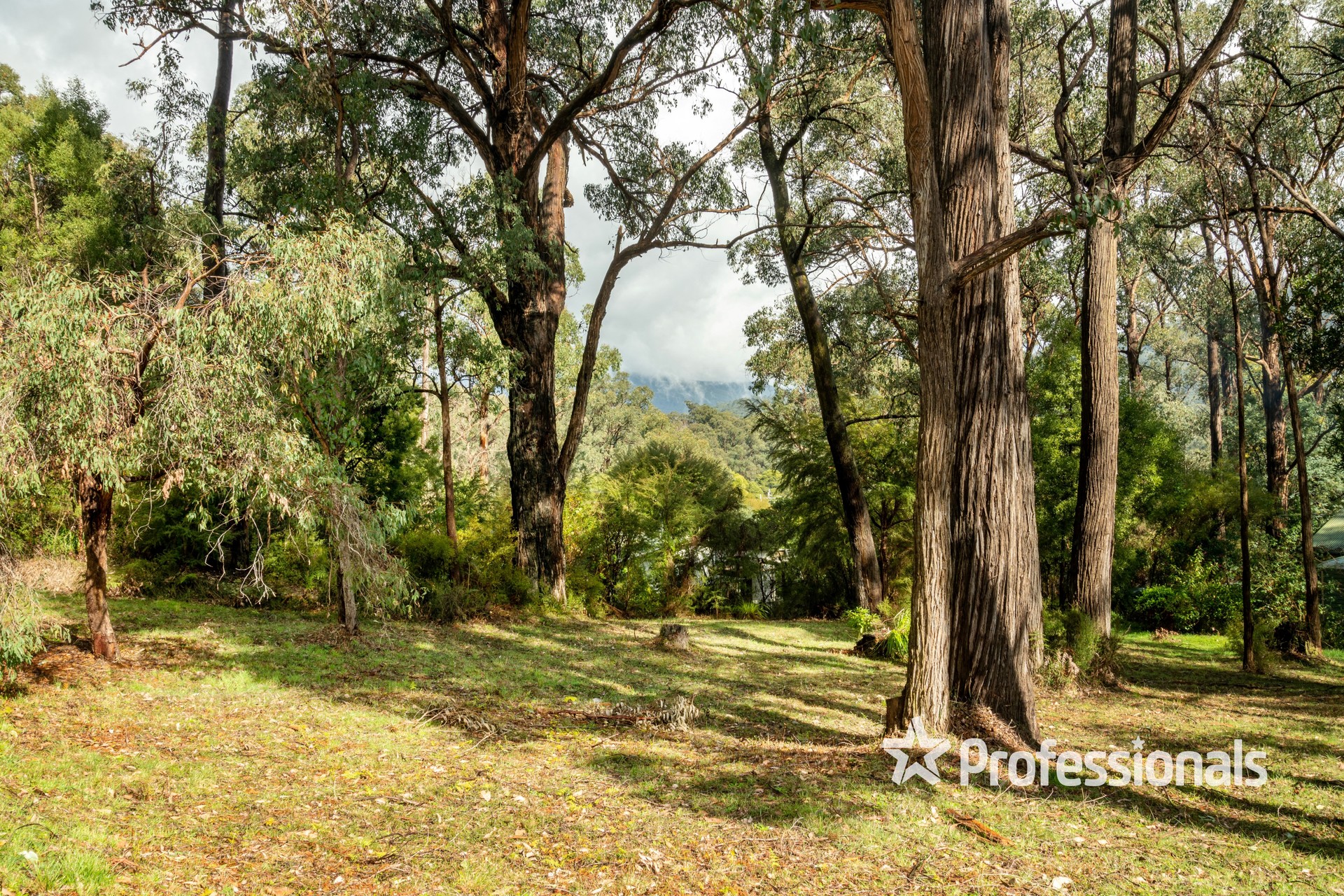 27 YARRA VALLEY CR, EAST WARBURTON VIC 3799, 0 침실, 0 욕실, Section