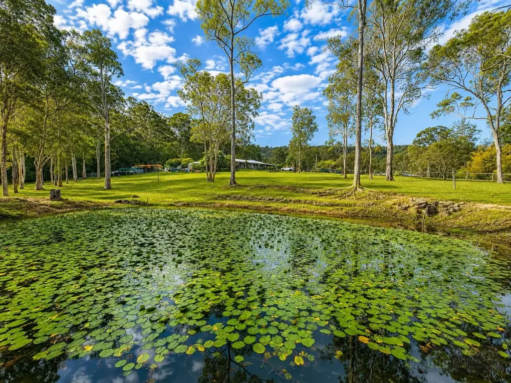 Tamborine Escape the Rat Race – 2.5 Acres, Hobby Farm Living & Sheds Galore