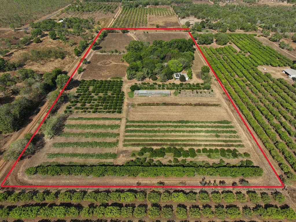 Acacia Hills Lifestyle property with an income surrounded by mature trees.