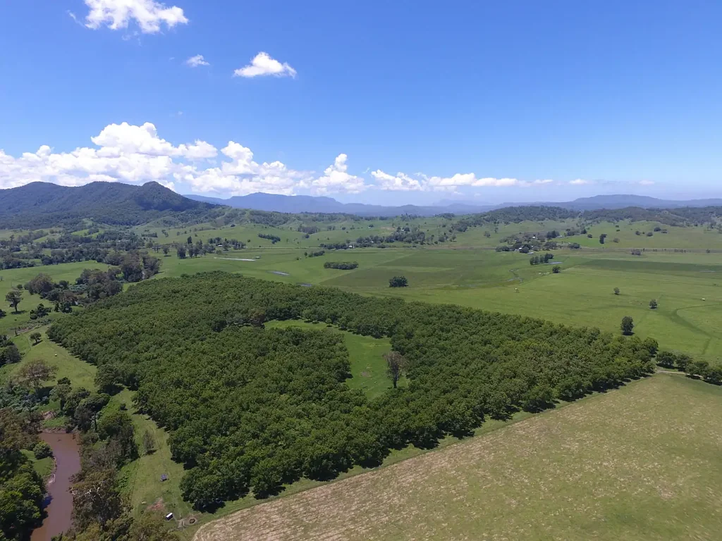 Kyogle  'RIVERSIDE' PECAN FARMING + MORE