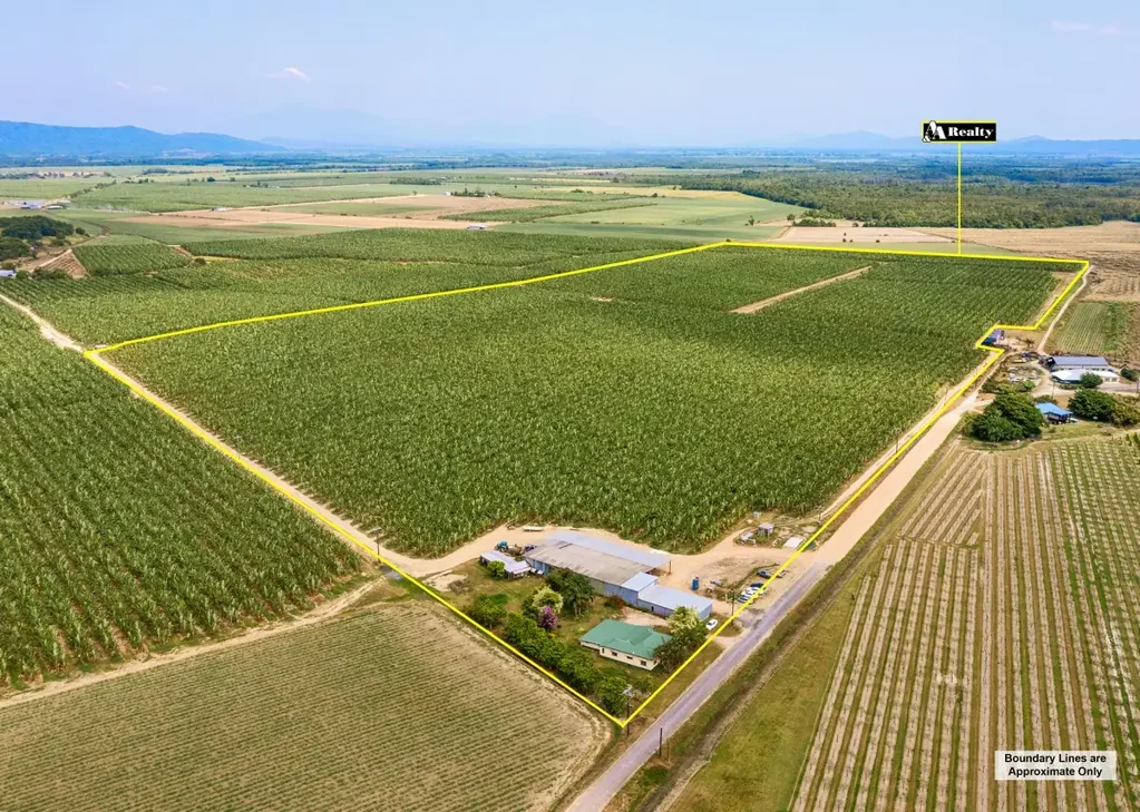 Lower Cowley PREMIUM BANANA FARM INVESTMENT OPPORTUNITY