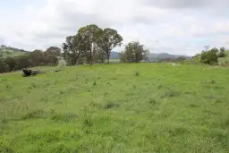 Lot 1 Kochs Road, Tenterfield