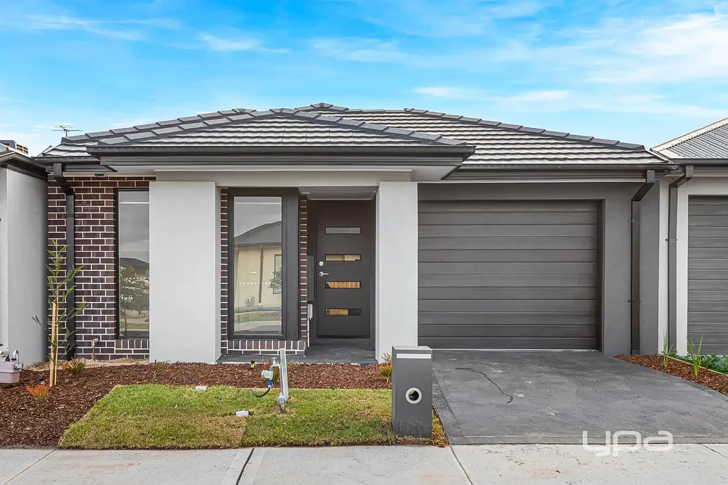 Brand New & Move-In Ready