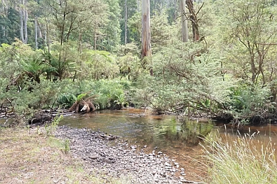 Lot 38 Toorongo Valley Road, Noojee, VIC 3833, 0 slaapkamers, 0 badkamers, Section