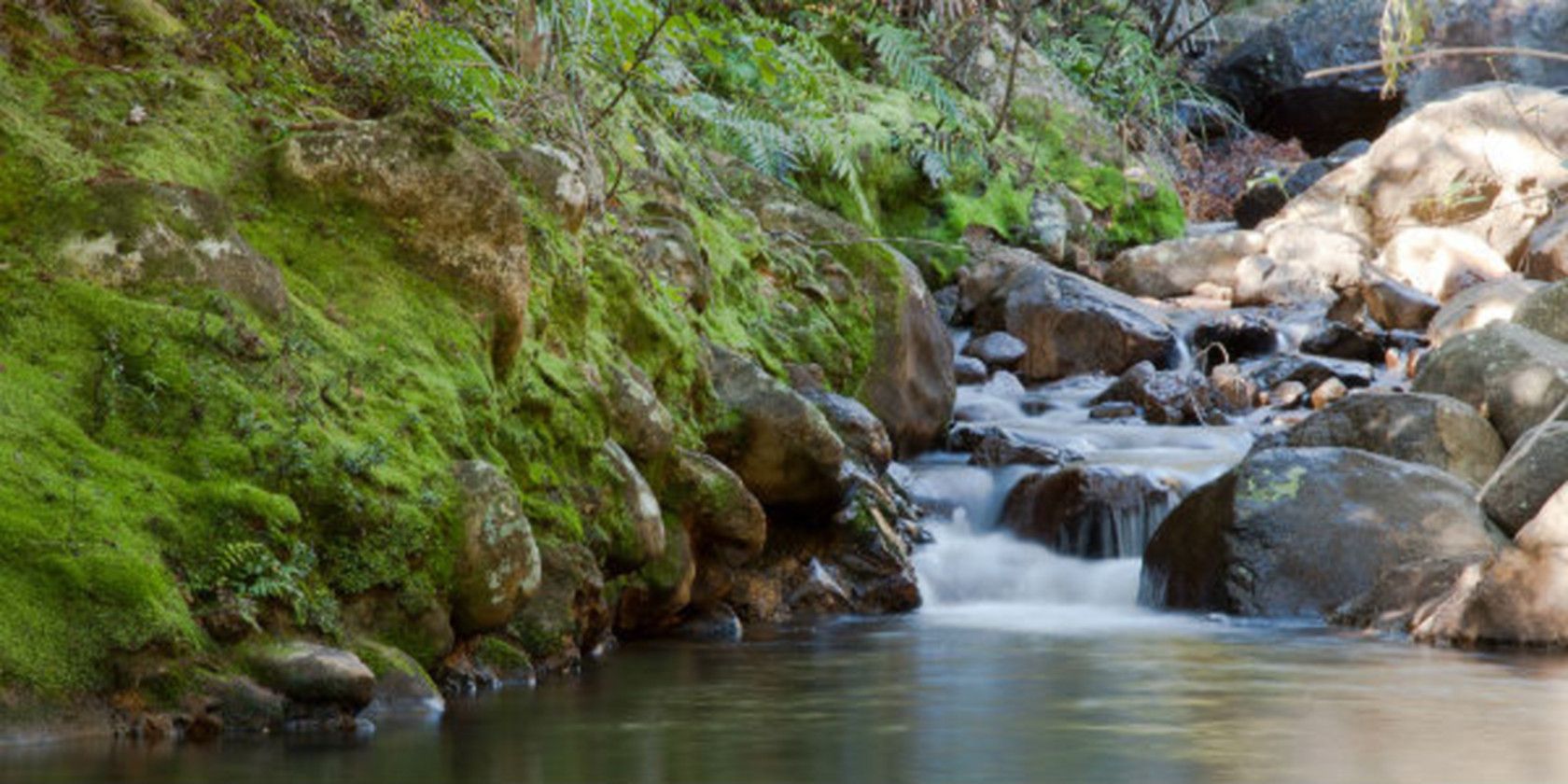 249 Silverstream Falls Row, Whenuakite, Coromandel, 0房, 0浴