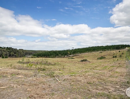 205 Bald Hills Road, Creswick, VIC 3363, 0 રૂમ, 0 બાથરૂમ, Section