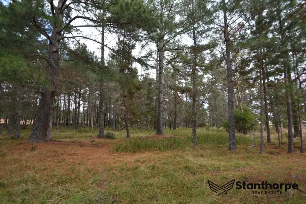 Sugarloaf SUGARLOAF VIA STANTHORPE - PEACEFUL PINE FOREST BLOCK WITH DAM