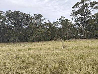 Mount Barker  LIFESTYLE LIVING IN HAMBLEY TREE FARM