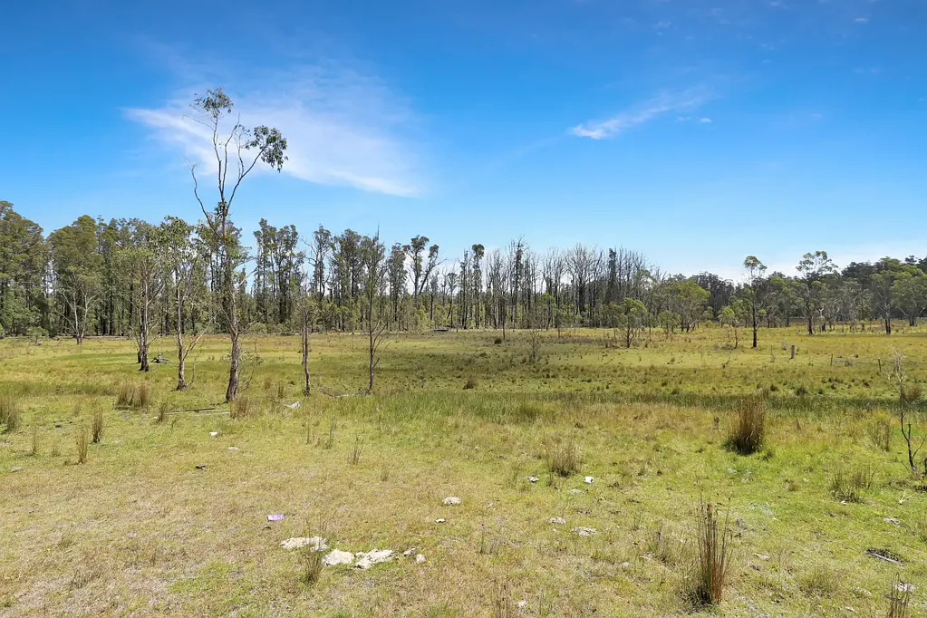 Lot 51 Tantawangalo Mountain Road, Cathcart, NSW 2632