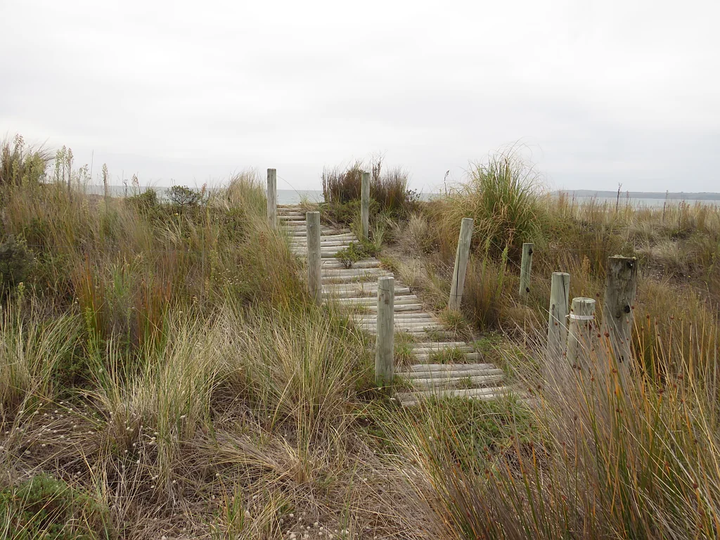 Wairoa Absolute beachfront property at Mahanga