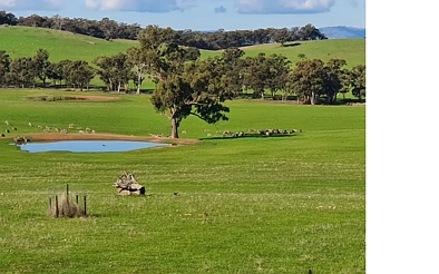 78 Cherry Tree Road, Nagambie, VIC 3608, 0房, 0浴, Section