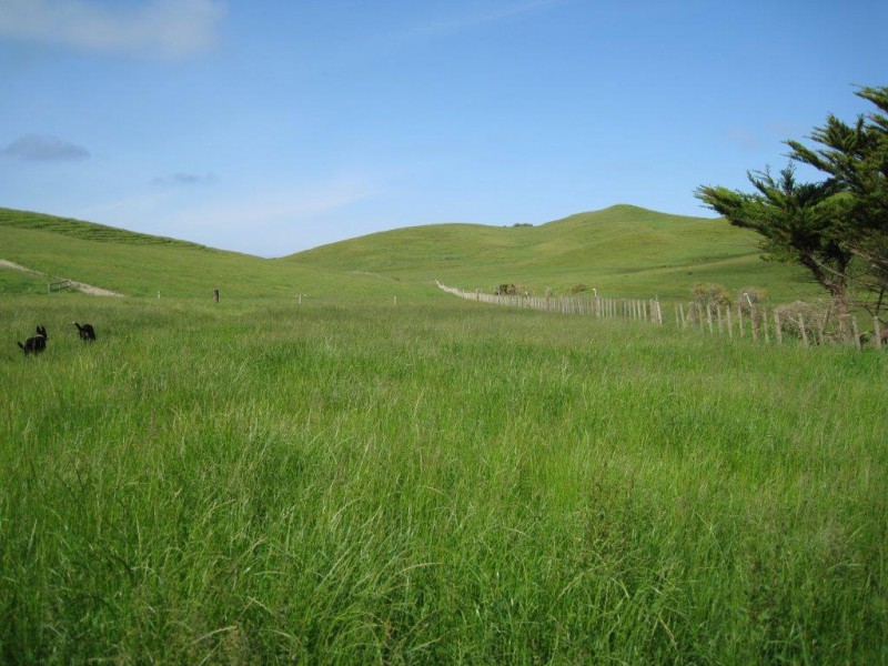 122 Kokonga West Road, Waikaretu, Waikato, 0 habitaciones, 0 baños