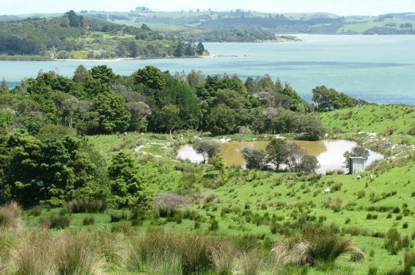 125 Massey Road, Maungaturoto, Kaipara, 4 Bedrooms, 1 Bathrooms