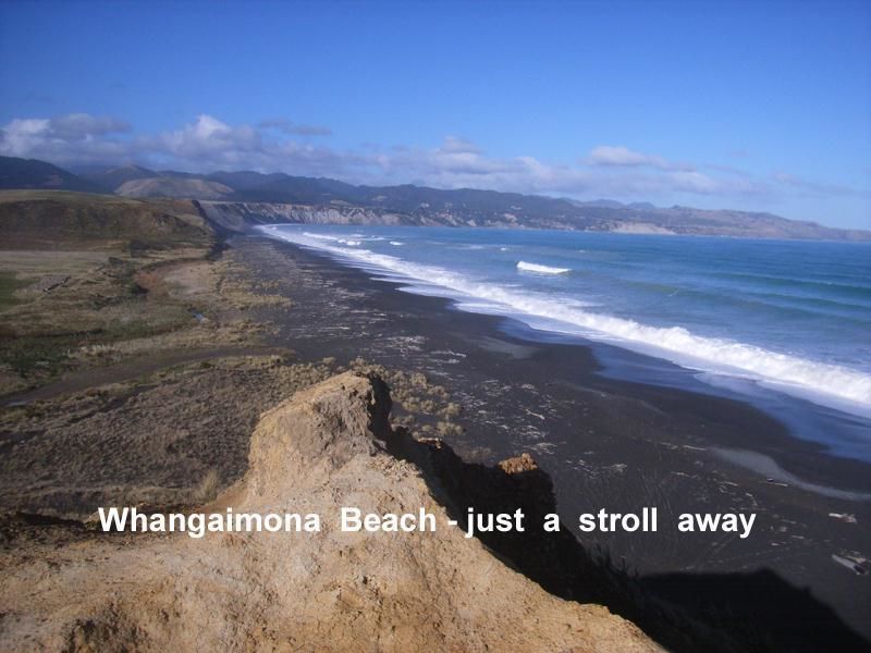 22a Whangaimoana Beach Road, Pirinoa, South Wairarapa, 3部屋, 0バスルーム