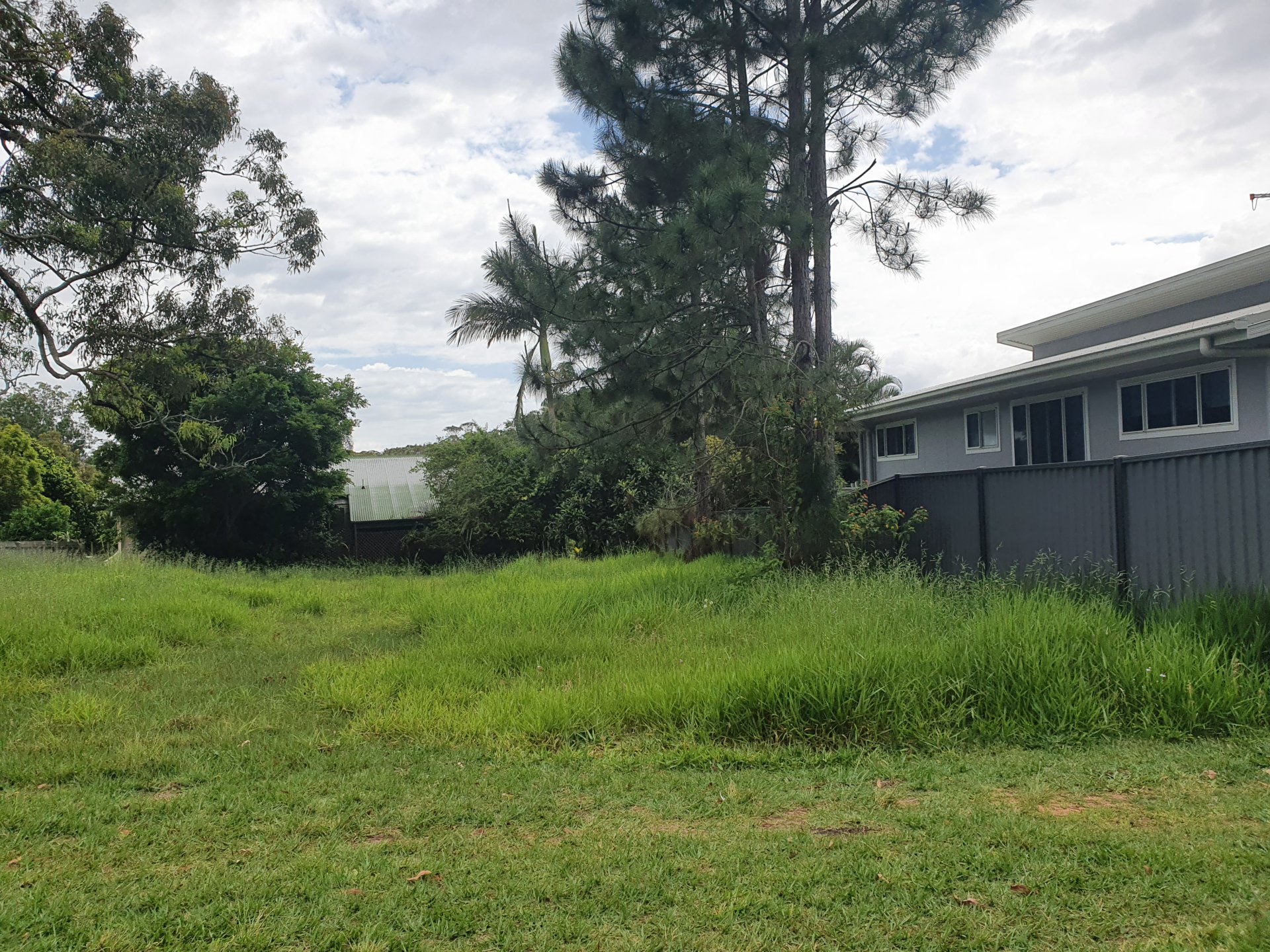 3 VINE ST, MACLEAY ISLAND QLD 4184, 0房, 0浴, Section