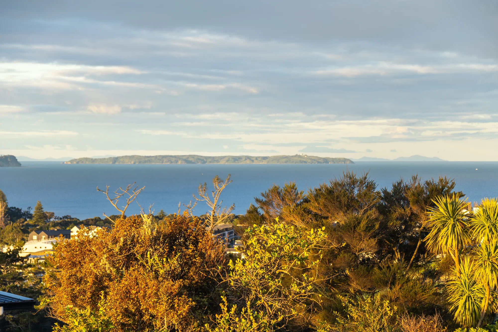 2 Taku Close, Long Bay, photo 8