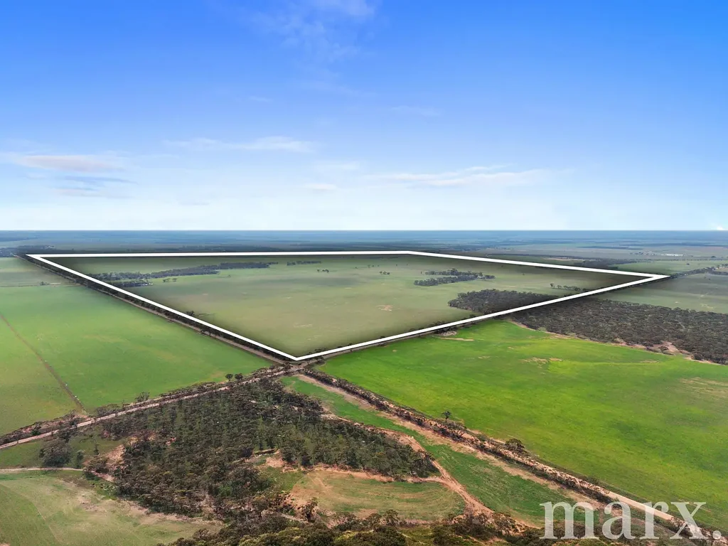 Steinfeld Substantial Rural Holding of productive farming land