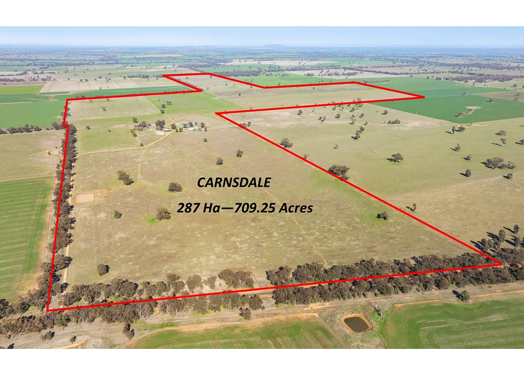 Yerong Creek OSBORNE - YERONG CREEK - 287 Hectares