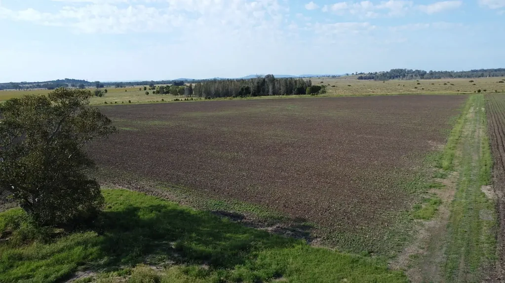 Codrington  FARMING / LIFESTYLE OPPORTUNITY AWAITS
