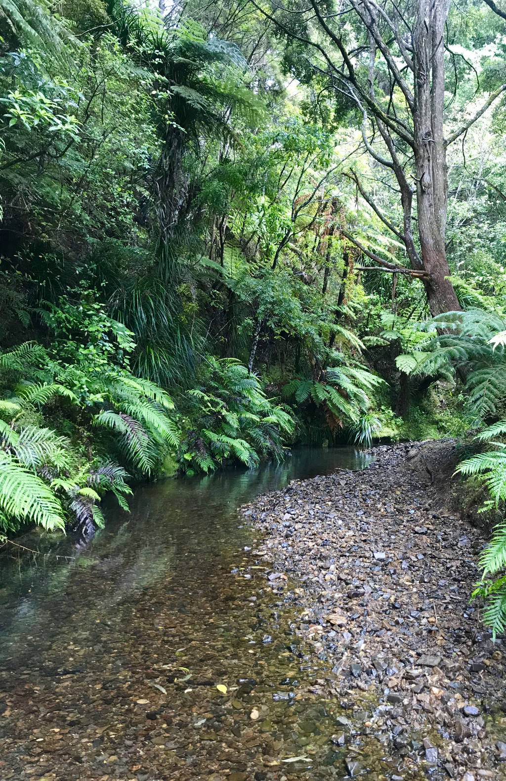 Owhiwa Road, Parua Bay, Whangarei, 0房, 1浴