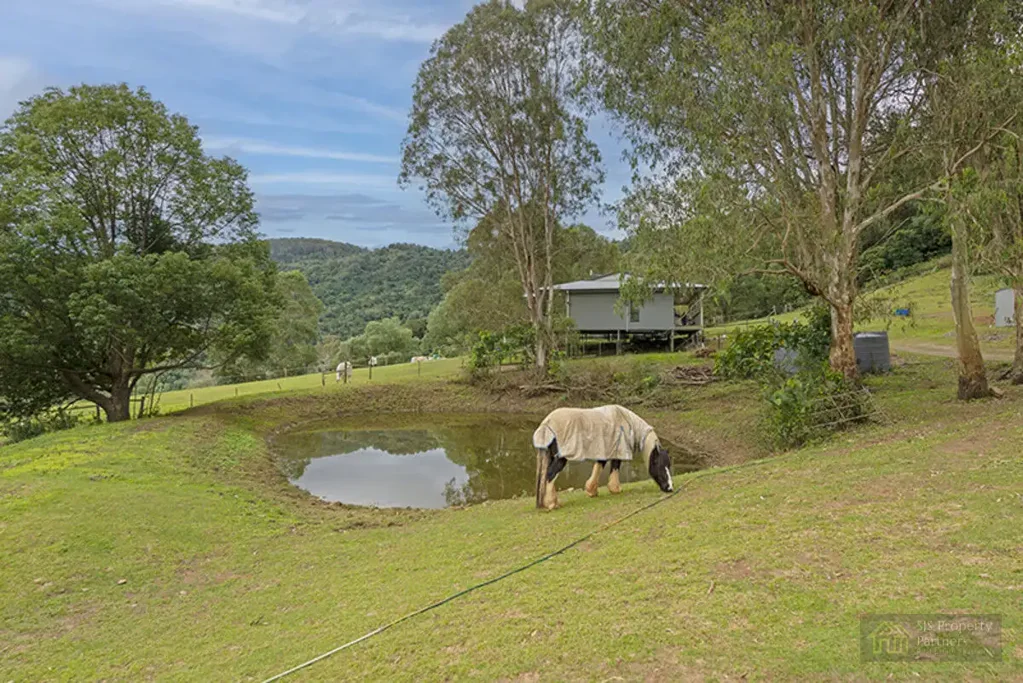 Cedar Creek Escape to Nature – Peaceful Retreat with Rainforest Pockets, Creek, cleared paddocks and Horse Facilities