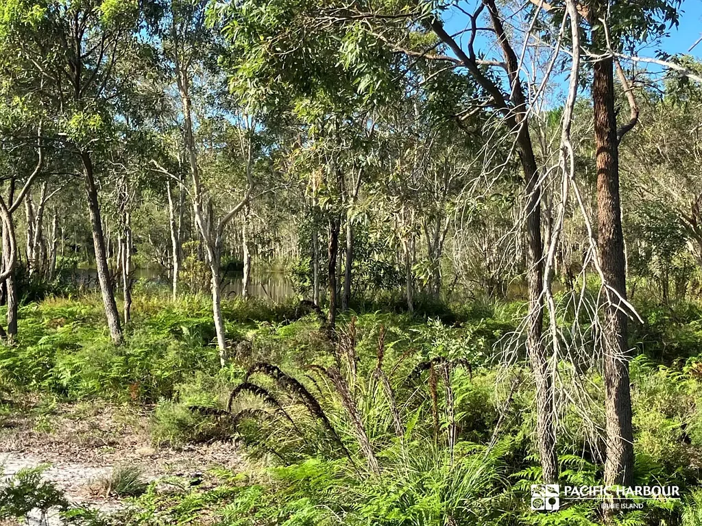 Banksia Beach NATURE SETTING