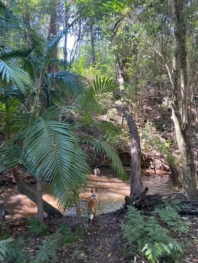 Address Withheld, Ravensbourne, QLD 4352, 0 Bedrooms, 0 Bathrooms, Lifestyle Property