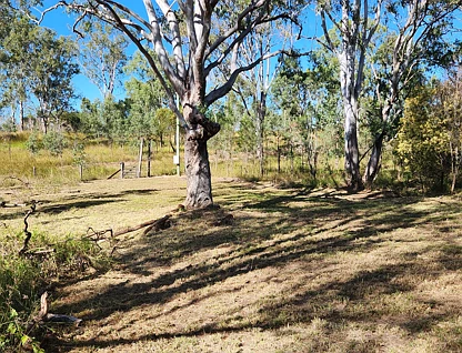 2 Elizabeth Street, Mount Perry, Wide Bay, 0 Bedrooms, 0 Bathrooms, Section