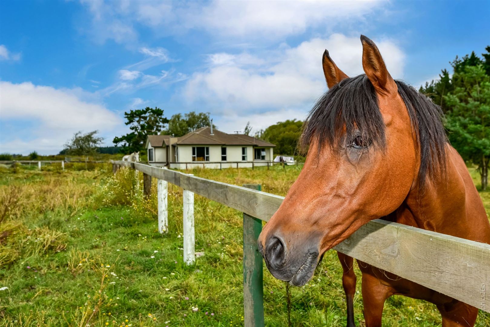 335 Kainga Road, Kainga, Christchurch, 4 Bedrooms, 0 Bathrooms